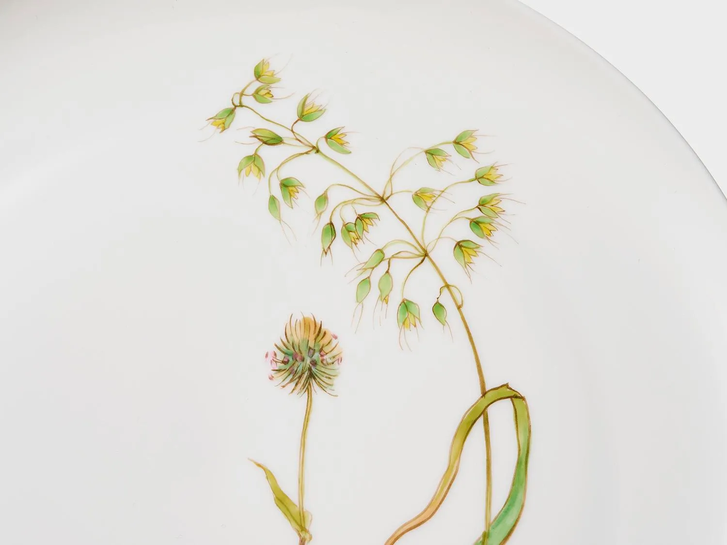Nymphenburg Lotos Sommergräser coupe tallerken 21 cm