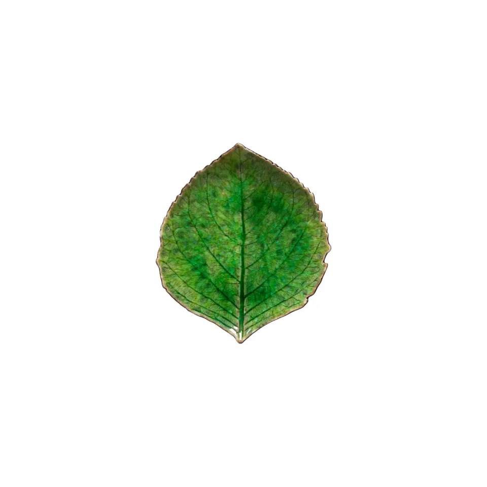 Costa Nova Riviera Small Hydrangea Leaf fad tomate green