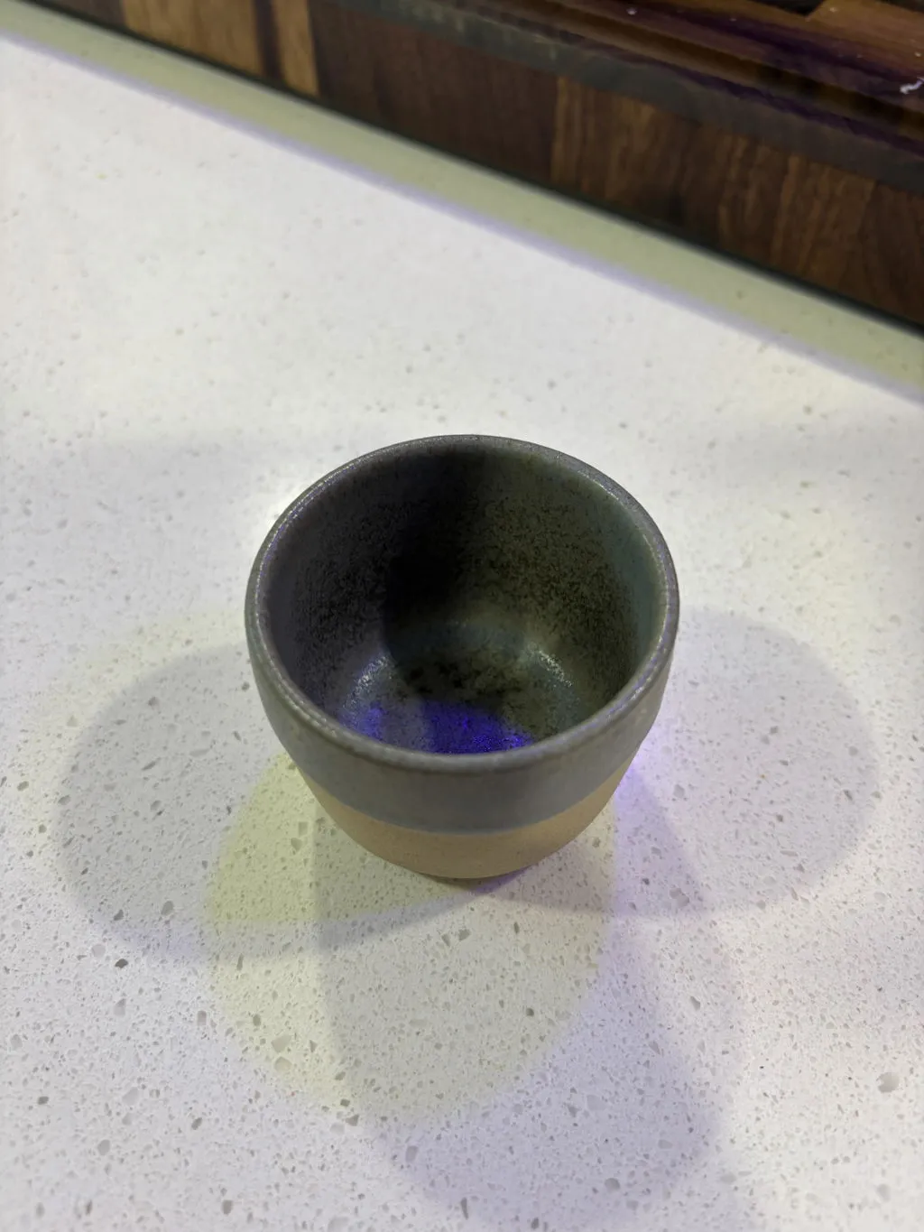 Costa Nova Arenito espressokop Sage Green mat glasur