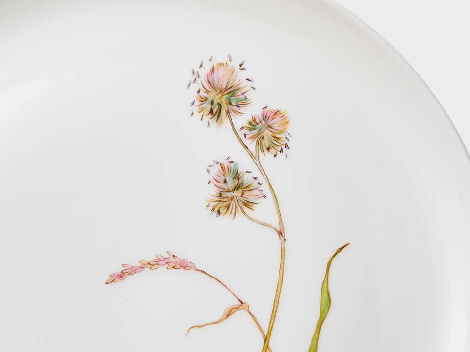 Nymphenburg Lotos Sommergräser coupe tallerken 21 cm