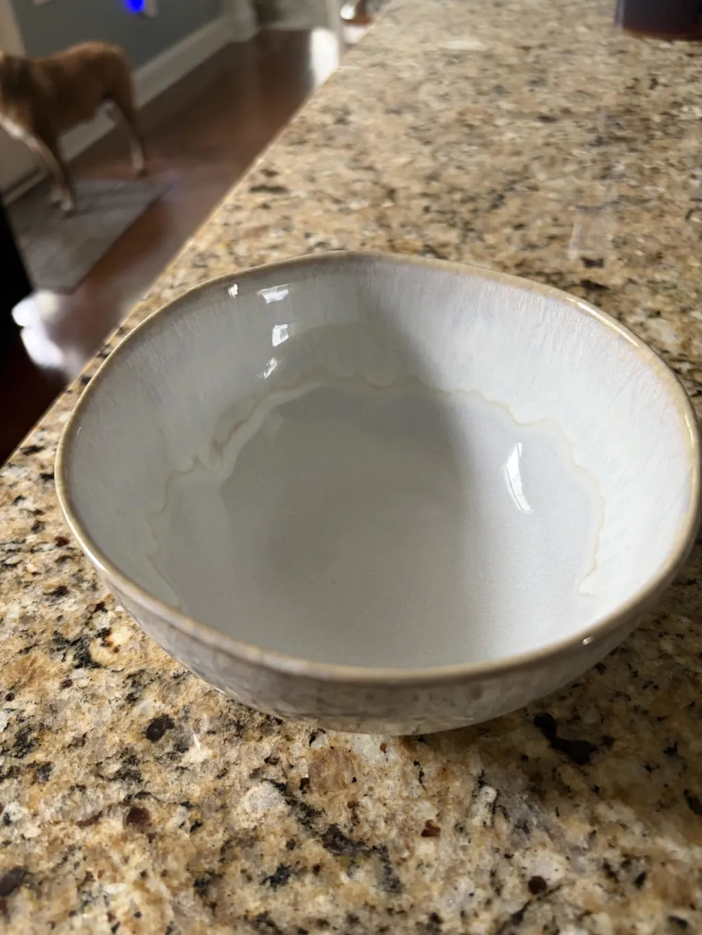 Costa Nova Brisa skål Salt White blank glasur