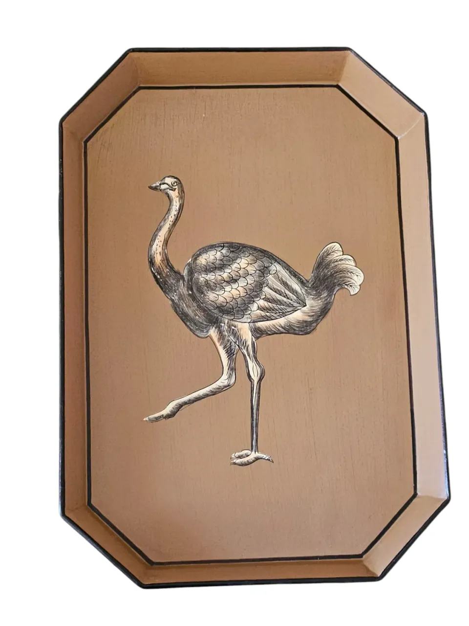 Les Ottomans bakke Ostrich jern håndmalet dekorativ